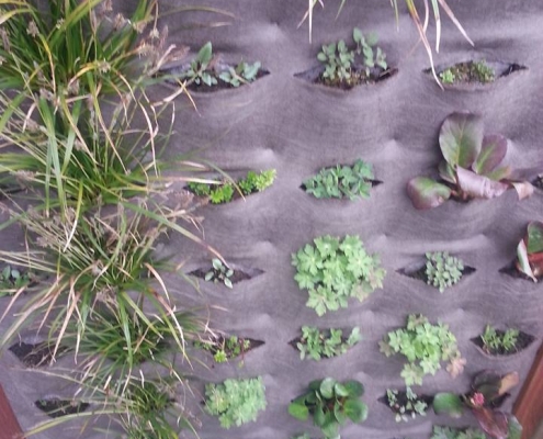 Tuinaanleg vertikale planten Mijdrecht