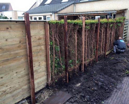 Tuinonderhoud Mijdrecht